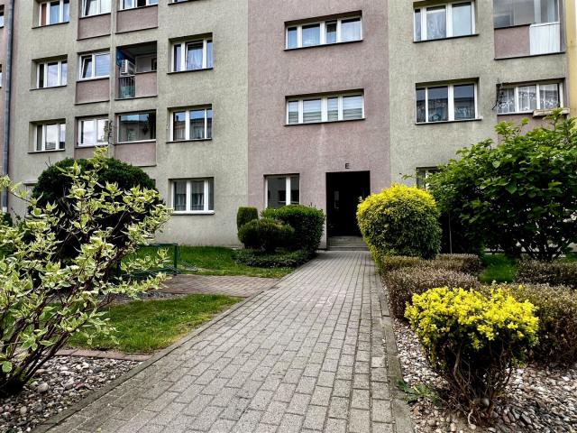 Wynajmę mieszkanie 24,40 m² ul. Włókniarzy, Bielawa, Włókniarzy