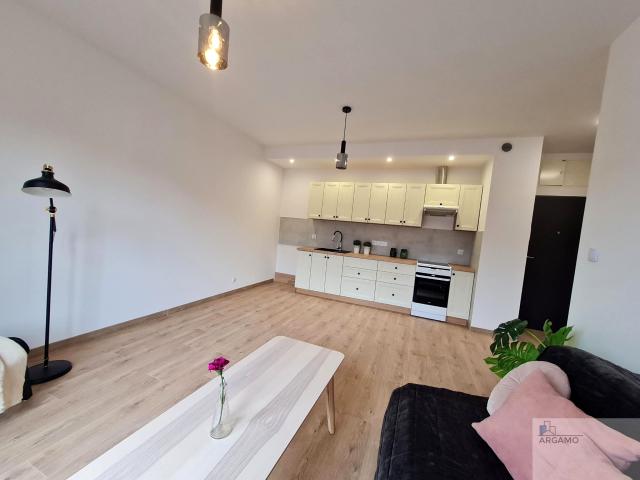 Wynajmę mieszkanie w apartamentowcu m2 z aneksem kuchennym 34 m² ul. Nałkowskiej, Katowice, Nikiszowiec