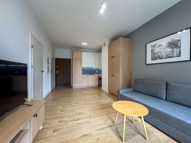 Wynajmę mieszkanie w apartamentowcu m2 z aneksem kuchennym 38,32 m² Katowice, Paderewskiego