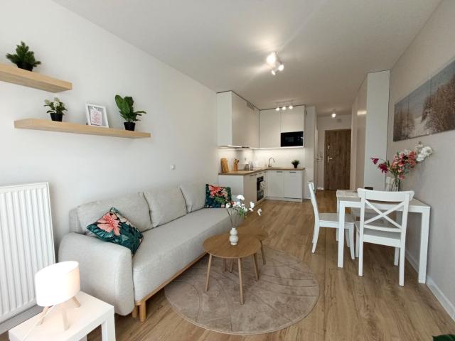 Wynajmę mieszkanie w apartamentowcu 27 m² wysoki standard Wrocław, Ołbin