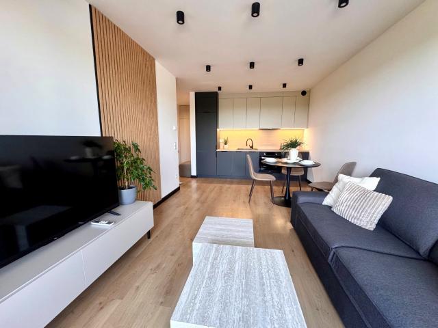 Wynajmę mieszkanie w apartamentowcu 42 m² wysoki standard Aleja Zjednoczonej Europy, Żory