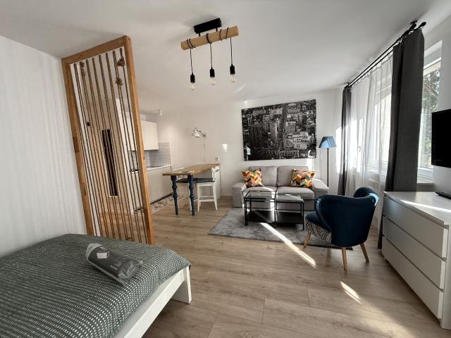 Wynajmę mieszkanie w bloku mieszkalnym 30 m² wysoki standard Warszawa, Powiśle