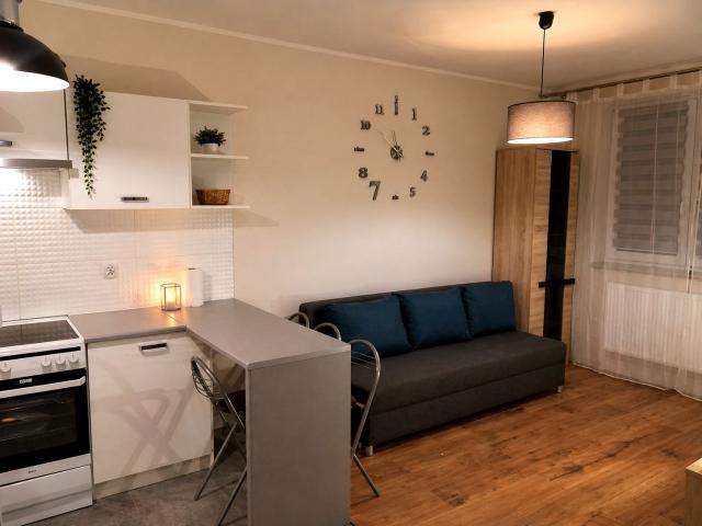 Wynajmę mieszkanie w bloku mieszkalnym 32 m² wysoki standard ul. Lewandowskiego, Szczecin, Nowe Miasto