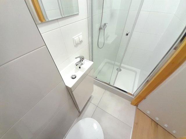Wynajmę studio przyjazne zwierzętom, Cmentarna 26 Chorzów, Centrum