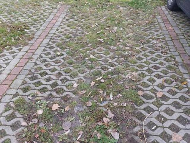 wynajme miejsce parkingowe Reszow