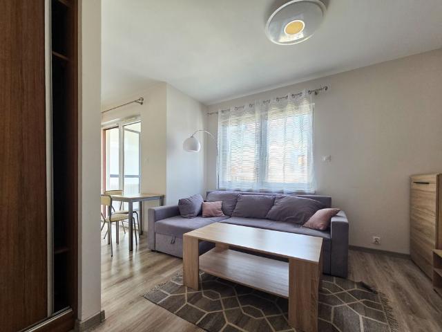 Wynajem mieszkania Poznań Wilda ul. Różana | 47 m² | 2 pokoje
