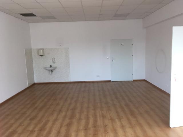 Wynajem biur i magazynów 150 m², Białołęka, wysoki standard