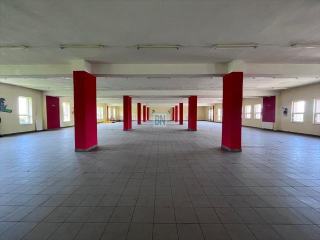Wynajem dużego lokalu usługowo handlowego 1520 m2 w Żorach