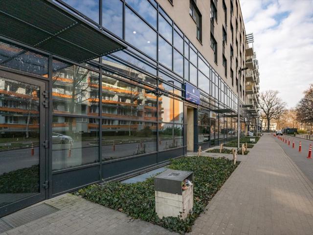 Wynajem lokalu 331 m² przy Legnickiej – idealny na biznes!
