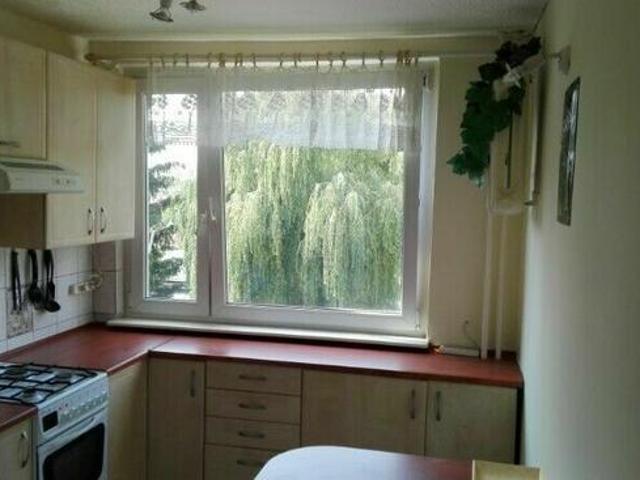 Wynajem pokoju dla studentki w mieszkaniu 51m2 Wrocław