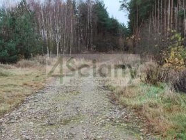 Wycześniak, 11000 m² Działka