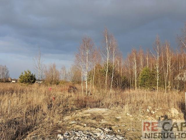 Wyględy, 1 425 m2