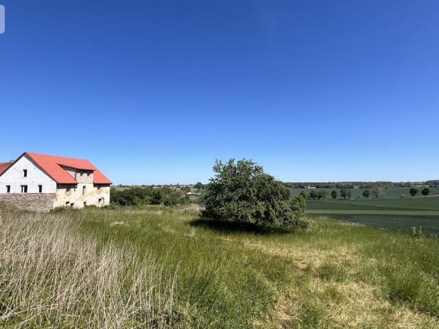 Wyjątkowy dom wolnostojący na dużej działce 3522 m² w Zimniku