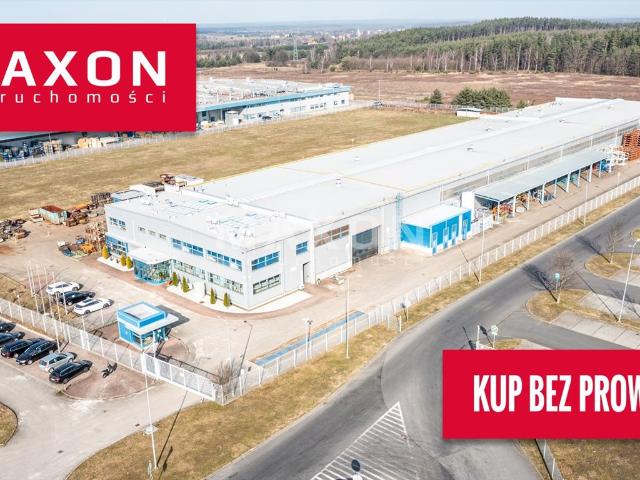 Magazyn i biura 9000 m² z potencjałem rozbudowy