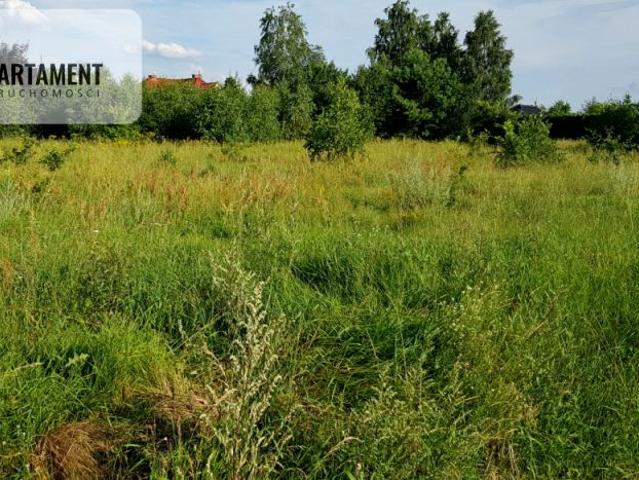 Wyzwolenia 2 043 m², Bydgoszcz