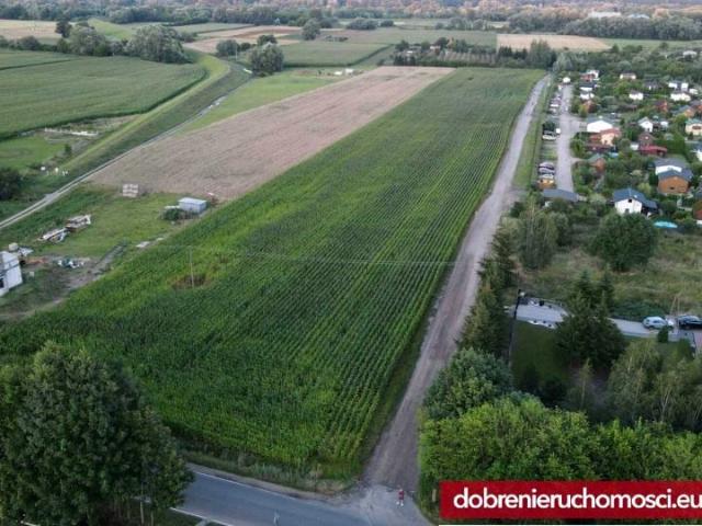 Wyzwolenia 2 268 m², Bydgoszcz