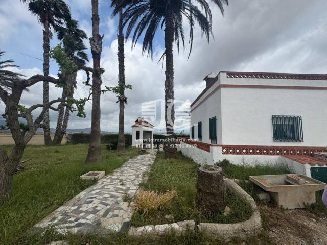 Xalet rústic con arrozales en la Ribera de Amposta
