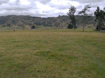 XAT001: Terreno plano Tarqui 1 Hectárea