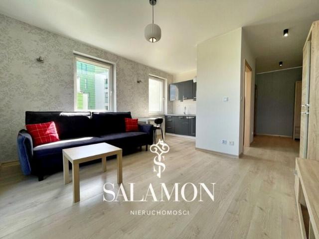 Xawerego Dunikowskiego 30 m², Szczecin
