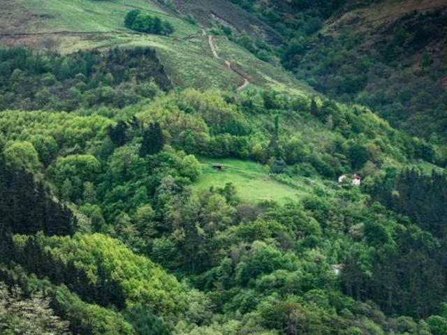 Xenborda Arantza Navarra