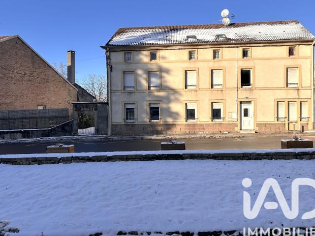 Xertigny Vente Immeuble 88