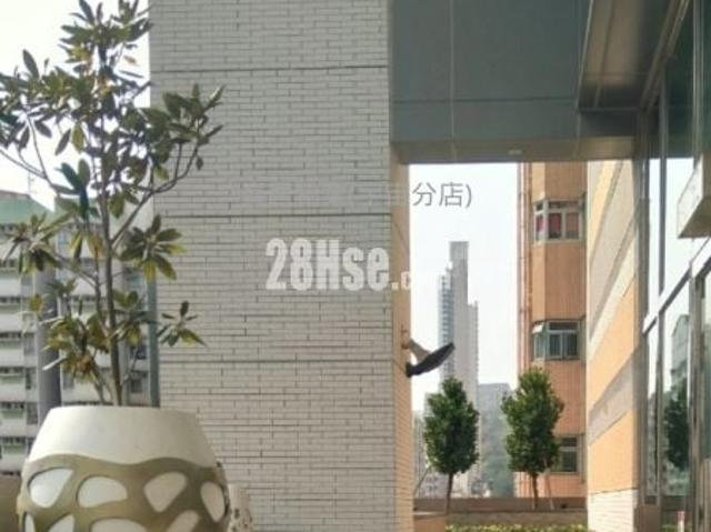 曉尚 #3719 售盤樓盤詳細資料