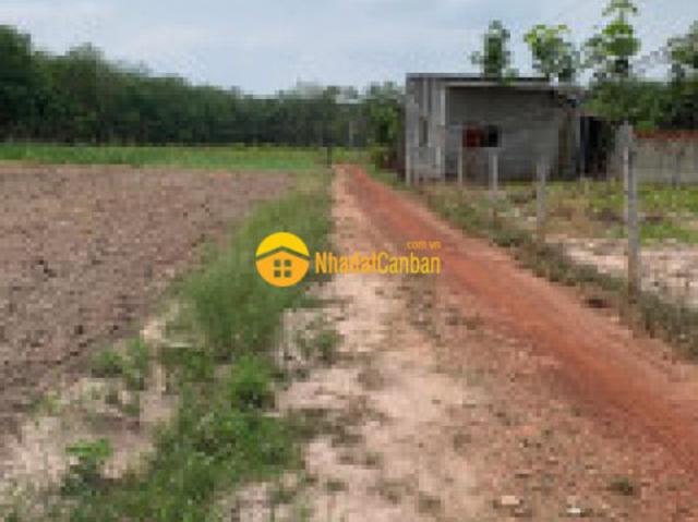 Xinh chào anh chị. Em giới thiệu đến anh chị lô đất có tổng dt 348m2 và có sẵn 100m tc