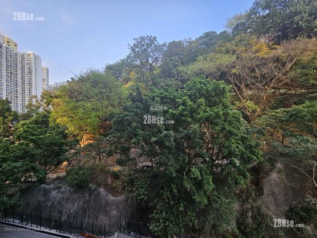 曉柏峰 #3784 租盤樓盤詳細資料