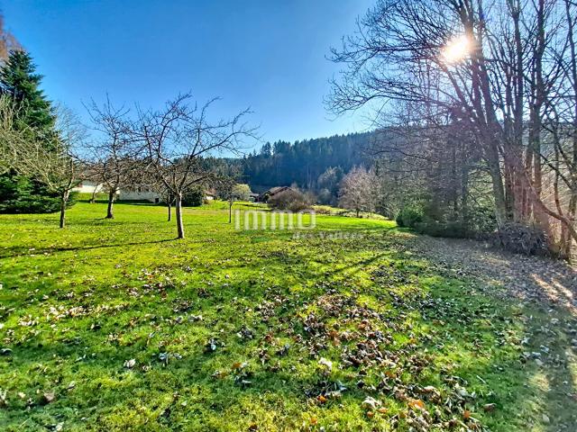 Xonrupt Longemer Vente Terrain 88