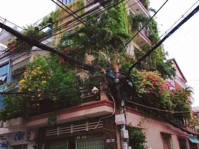Xuất cảnh bán nhà hẻm nhựa 8m đường Bàu Cát 1, DT 4.1x20m, 3 lầu đẹp lung linh