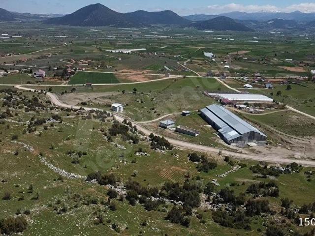 Y. CEYLAN'DA HEM ÜRETİM HEM KAZANÇ SUNAN 30DÖNÜM SATILIK ÇİFTLİK
