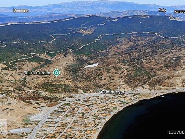Y.foça'da satılık DENİZ VE DOĞA İLE İÇ İÇE 8.803MZeytinliTarla