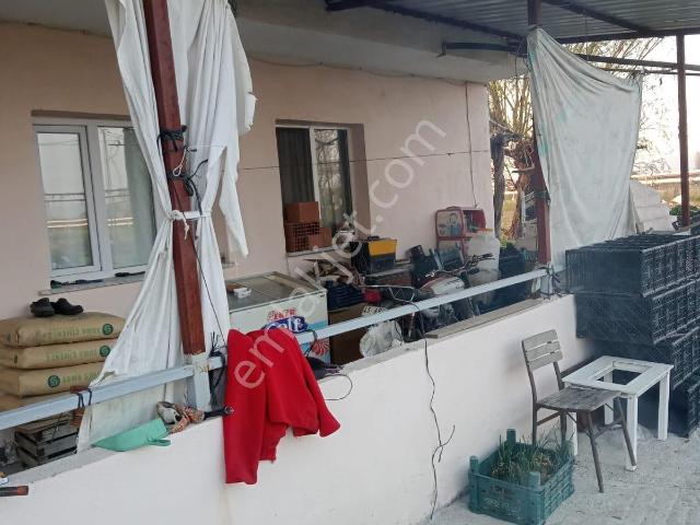 Yılmaz Mahallesinde Satılık Çiftlik Ve Evi