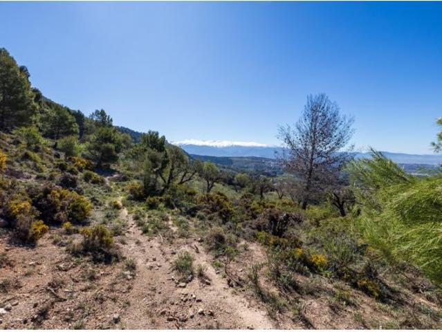 ¿Y si tu refugio fuera un balcón privado sobre el horizonte, justo donde nace la paz de la Sierra?