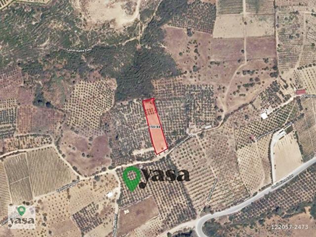 YAŞA GYD AKDENİZ CAMİLİ'DE 2080 M2 SATILIK TARLA