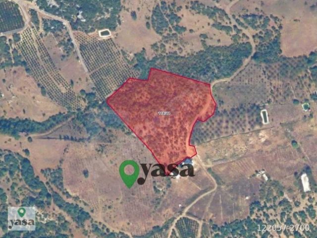 YAŞA GYD KAYRAKEŞLİKTE 20.385 m TEK PARÇA TARIM ARAZİSİ