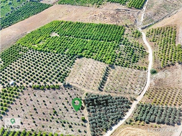 YAŞA GYD MEZİTL BOZÖN KÖYÜ'NDE SATILIK 6040 m BAHÇE