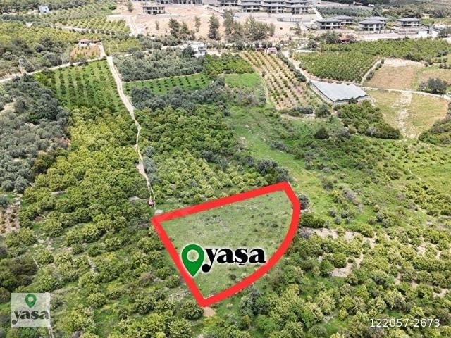 YAŞA GYD MEZİTLİ ÇEVLİKTE RUHSATLI SATILIK ARSA