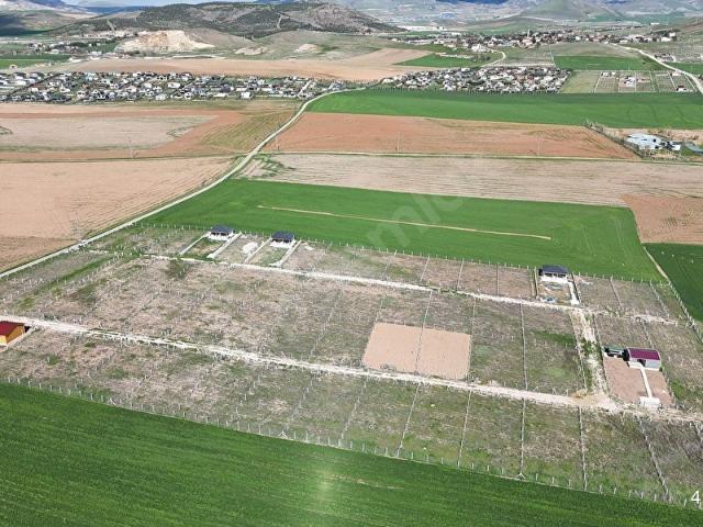 YAĞLIPINAR DA 485M2 KOOPERATİF HİSSELİ HOBİ BAHÇESİ KARADENİZ EM