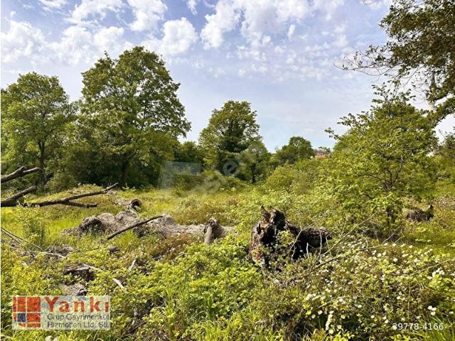 Yankı'dan Şile Kızılcaköy içinde 1.820 m2 Satılık Arsa