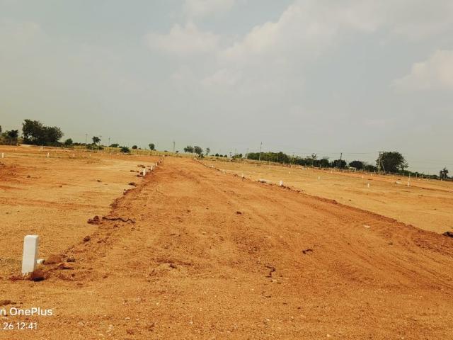 Yacharam 242 Sq.Yd. Plot in Yacharam Hyderabad Listing ID: #10102