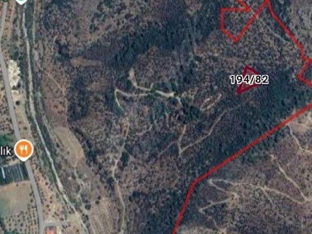 Yakapınar Araç Yolu Olan Zeytinlik