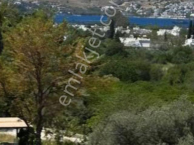 Yalıkavak Marinaya Yürüme Mesafesinde Deniz Manzaralı Havuzlu