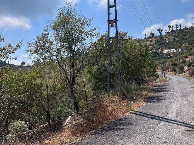 YALÇINÖZDEN BOZYAZI LENGER MAHALLESİNDE ASFALT YOLA SIFIR 9.502,75 M MÜSTAKİL TAPULU SATILIK TARLA
