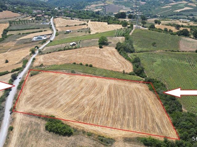 YALOVA ALTINOVA FEVZİYE 14.672 M2 SATILIK TARLA