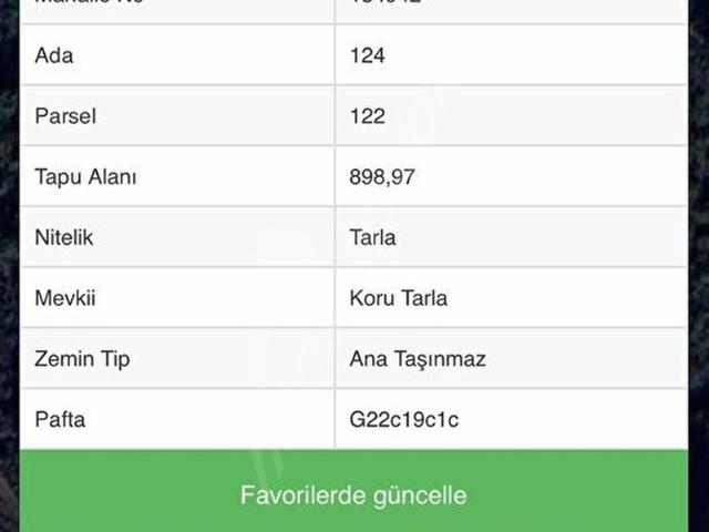 YALOVA ALTINOVA SERMAYECİKTE YATIRIMLIK TARLA