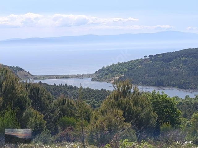 YALOVA ARMUTLU HAYRİYE KÖYÜ FULL MANZARALI TARLA