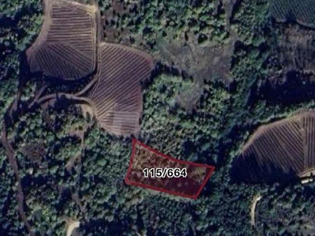 YALOVA GAYRİMENKUL'DEN SERMAYECİK KÖYÜNDE UYGUN TARLA