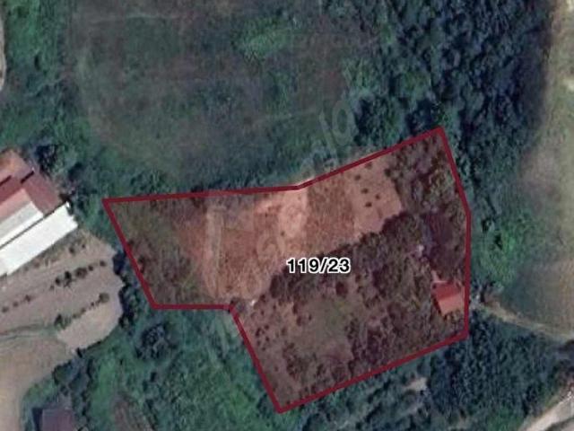 YALOVA GAYRIMENKUL'DEN SAFRANDA 5.640m2 YATIRIMLIK FIRSAT