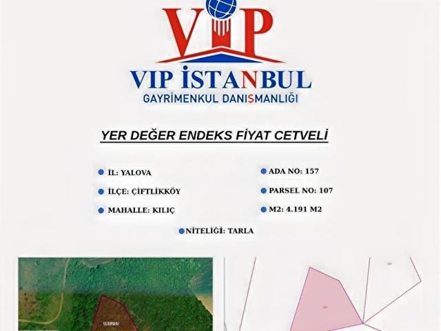 Yalova Çiftlikköy Kılıç'da Tek Tapu 4.191 M2 Fırsat Tarla
